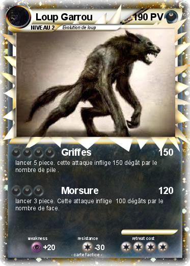 Pokemon Loup Garrou