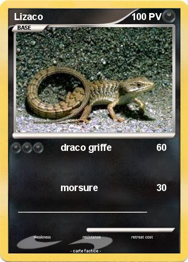 Pokemon Lizaco