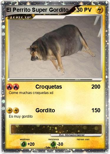 Pokemon El Perrito Super Gordito