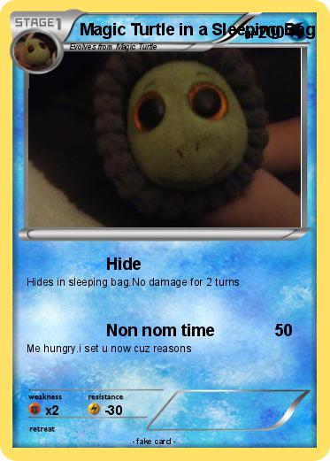 Pokemon Magic Turtle in a Sleeping Bag