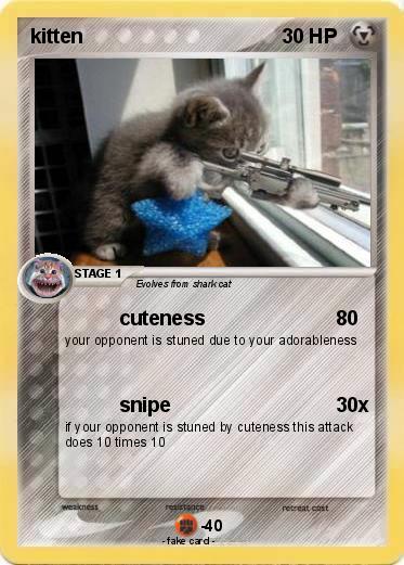 Pokemon kitten