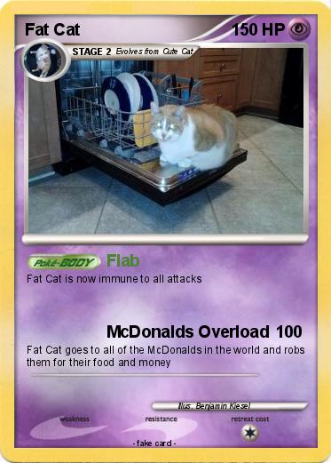 Pokemon Fat Cat
