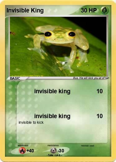 Pokemon Invisible King