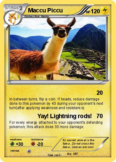Pokemon Maccu Piccu