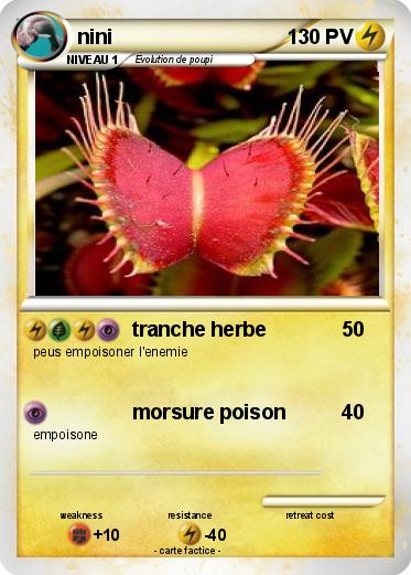 Pokemon nini