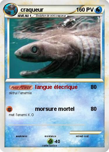 Pokemon craqueur