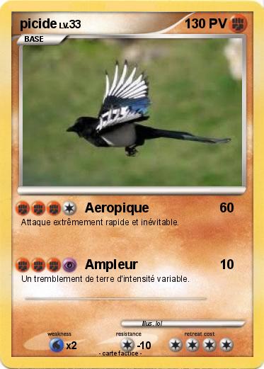 Pokemon picide