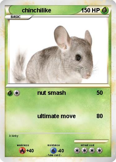 Pokemon chinchilike