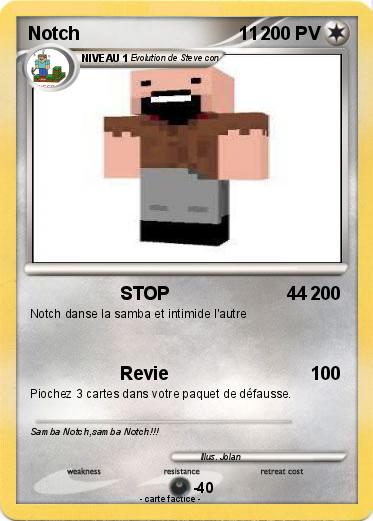 Pokemon Notch                               11