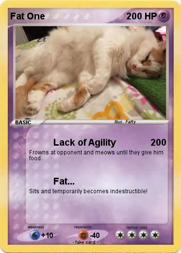 Pokemon Fat One