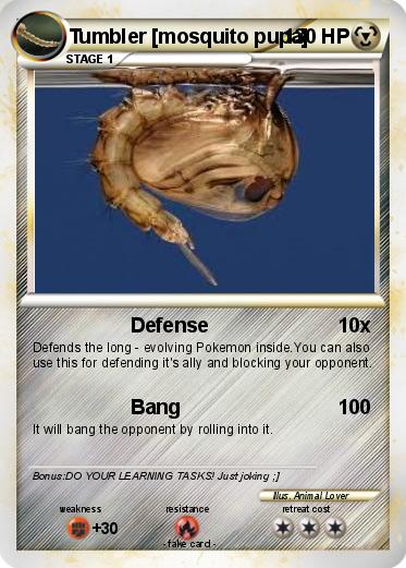 Pokemon Tumbler [mosquito pupa]