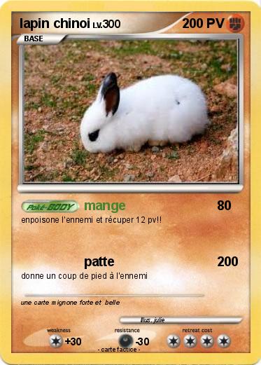 Pokemon lapin chinoi