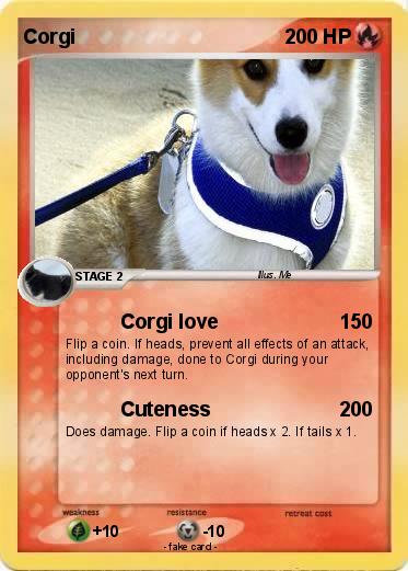 Pokemon Corgi