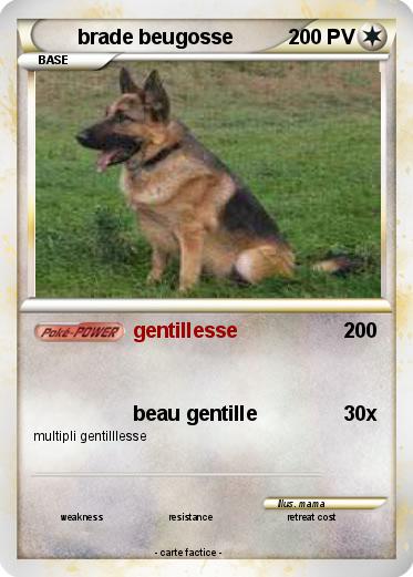 Pokemon brade beugosse