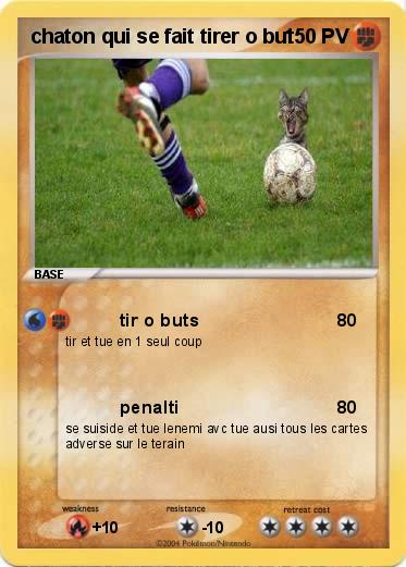Pokemon chaton qui se fait tirer o but