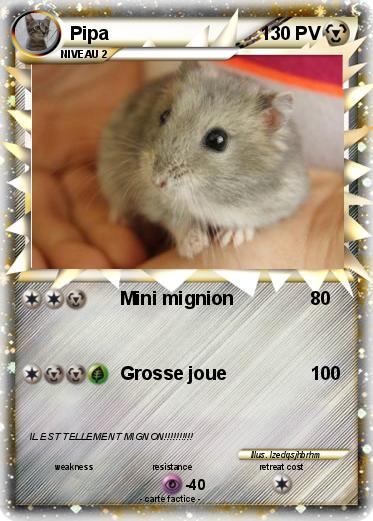 Pokemon Pipa