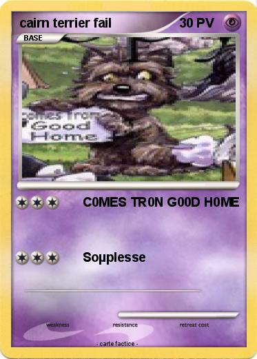 Pokemon cairn terrier fail