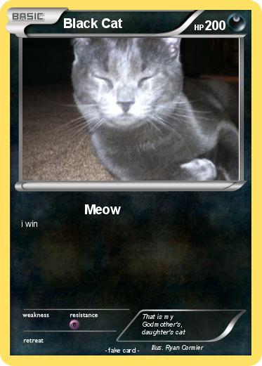 Pokemon Black Cat