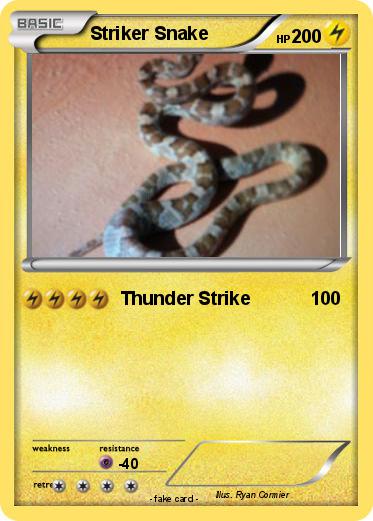 Pokemon Striker Snake