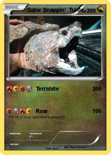 Pokemon Gator Snappin'  Turtle