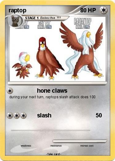 Pokemon raptop