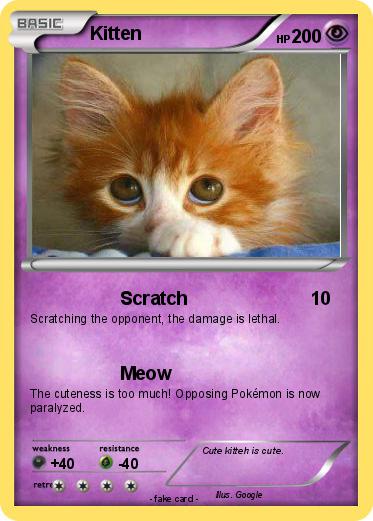 Pokemon Kitten