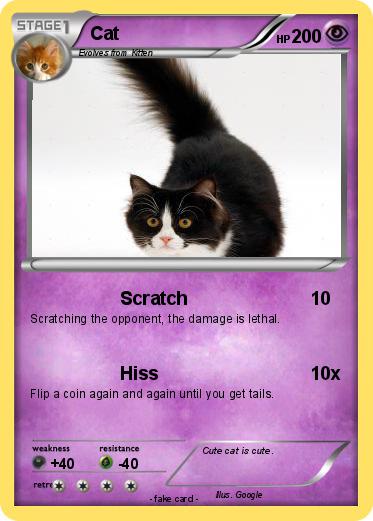 Pokemon Cat