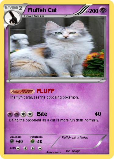 Pokemon Fluffeh Cat