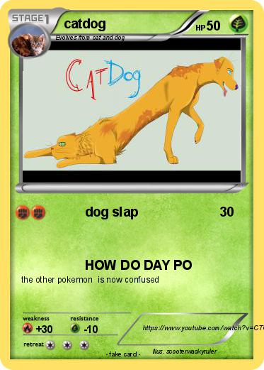 Pokemon catdog