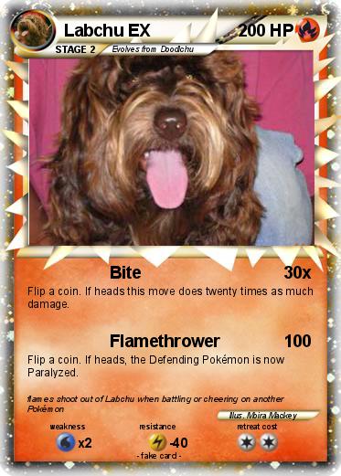 Pokemon Labchu EX