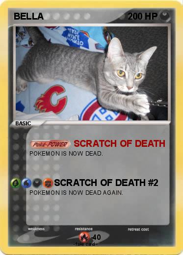 Pokemon BELLA