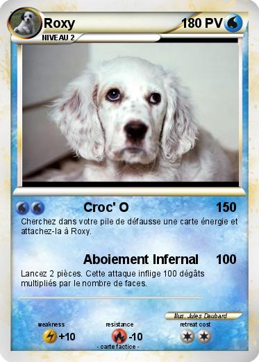 Pokemon Roxy