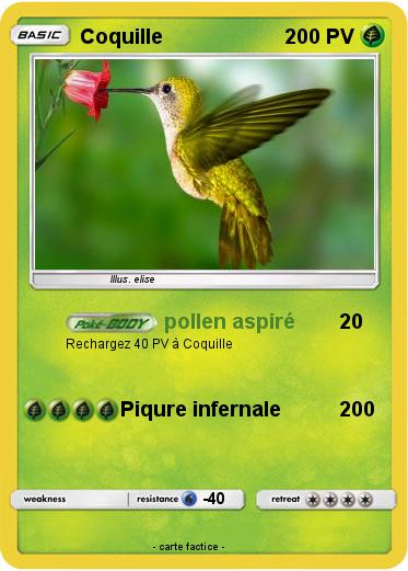 Pokemon Coquille