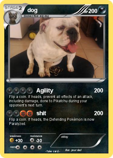 Pokemon dog