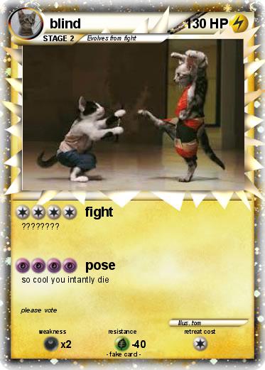 Pokemon blind