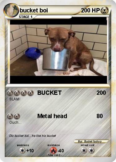 Pokemon bucket boi