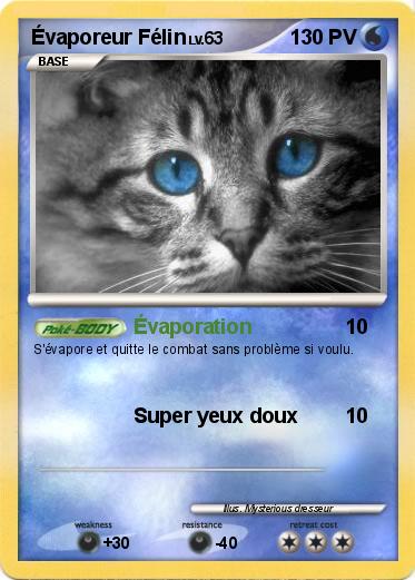 Pokemon Évaporeur Félin
