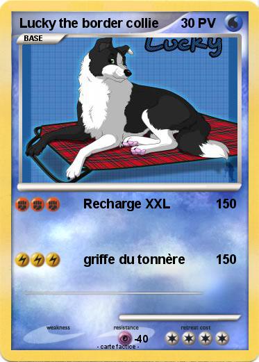 Pokemon Lucky the border collie