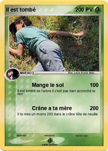 Pokemon Il est tombé