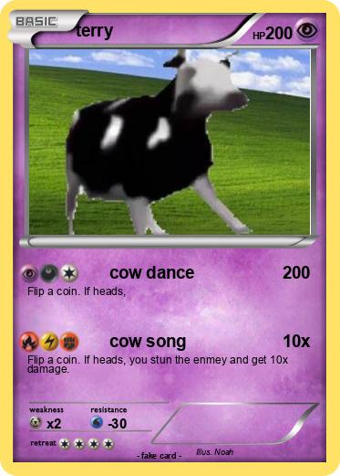 Pokemon terry