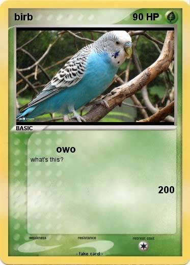 Pokemon birb