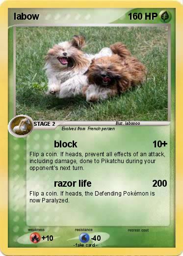 Pokemon labow