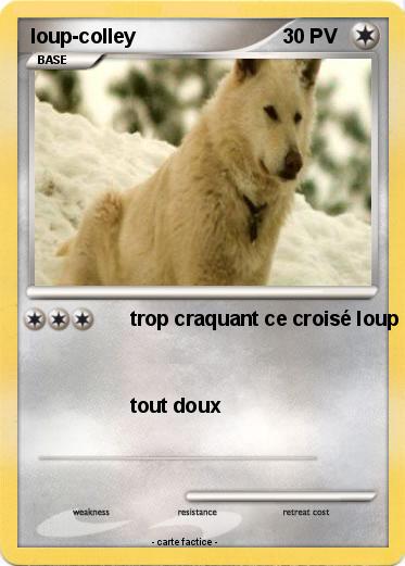 Pokemon loup-colley