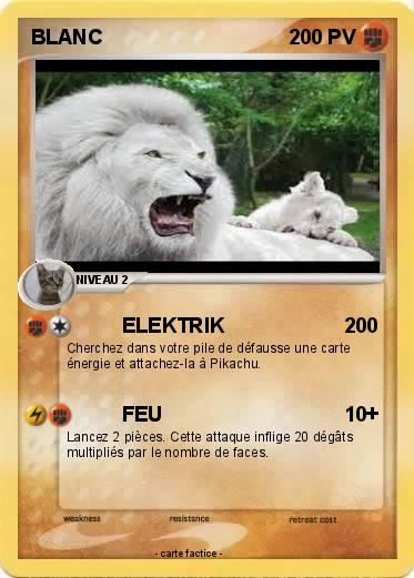 Pokemon BLANC