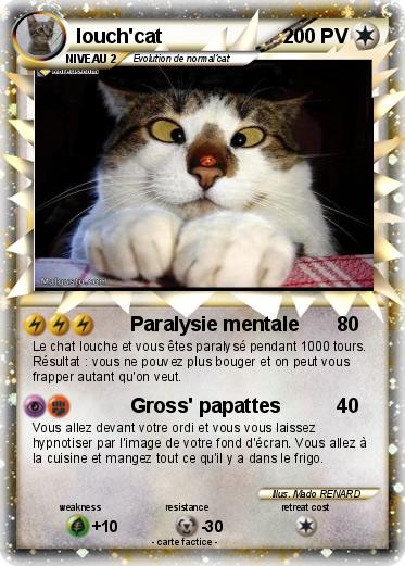 Pokemon louch'cat