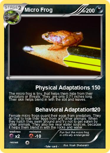 Pokemon Micro Frog