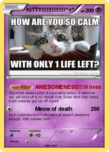 Pokemon KITTY!!!!!!!!!!!!!!^v^