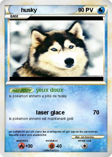 Pokemon husky