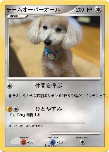 Pokemon チームオーバーオール