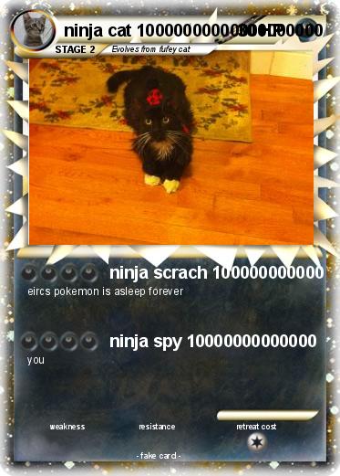 Pokemon ninja cat 10000000000000000000
